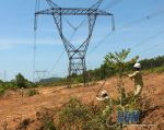 Lặng lẽ nghề đường dây