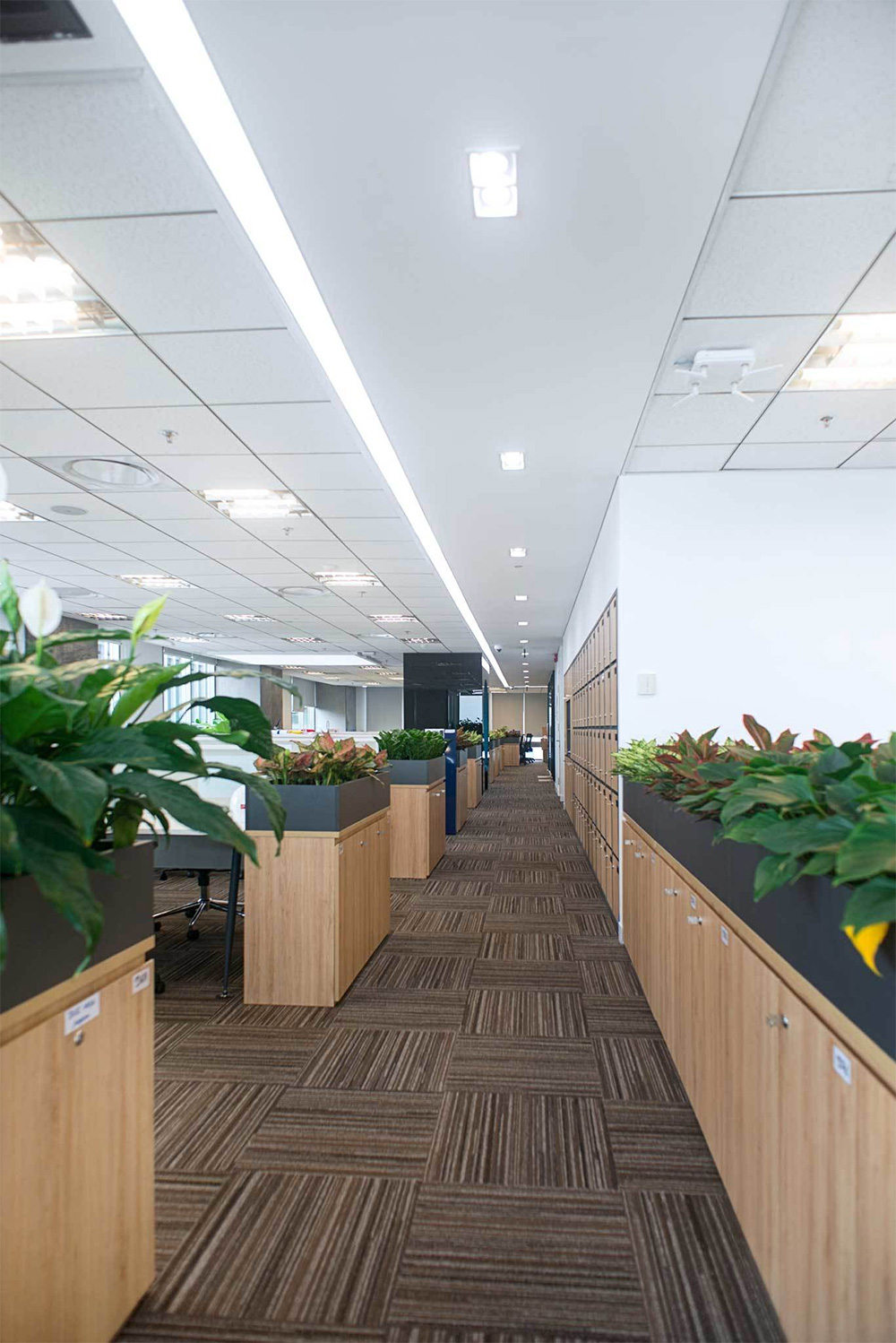 tl_files/Upload-here/CONG TRINH/CFLD-HEAD-OFFICE/CFLD-HEAD-OFFICE-13.jpg